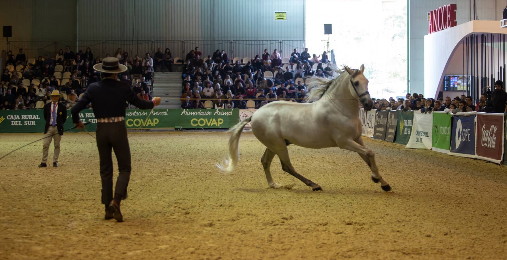 Concurrida jornada de sábado en el Sicab