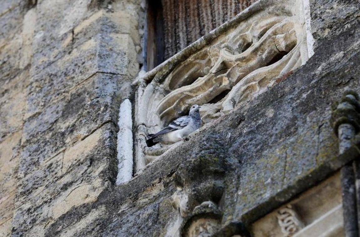 La calle Cabezas de Córdoba, en imágenes