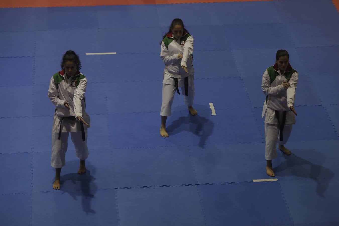 Campeonato de Europa de Karate-do en San Fernando