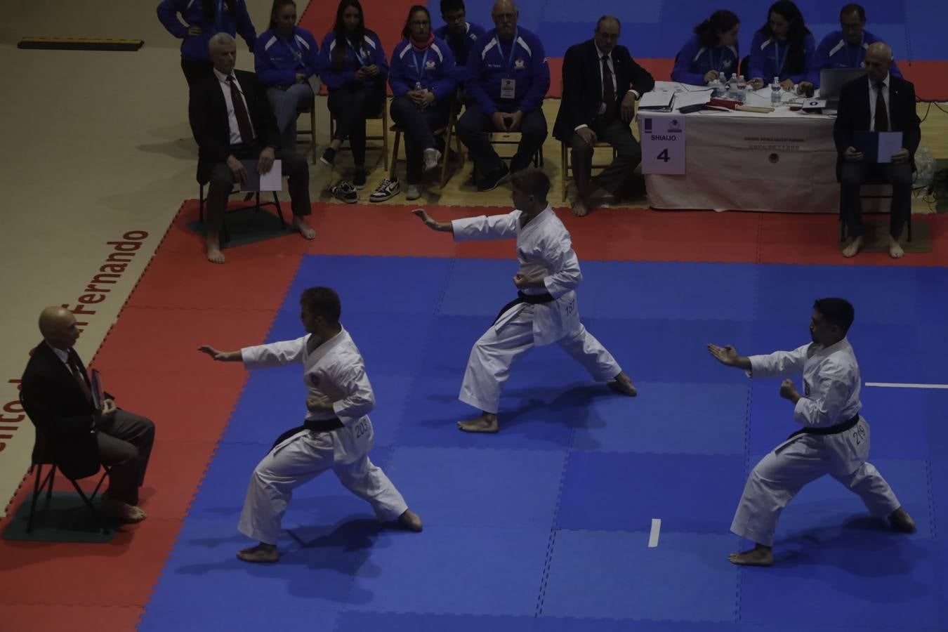 Campeonato de Europa de Karate-do en San Fernando