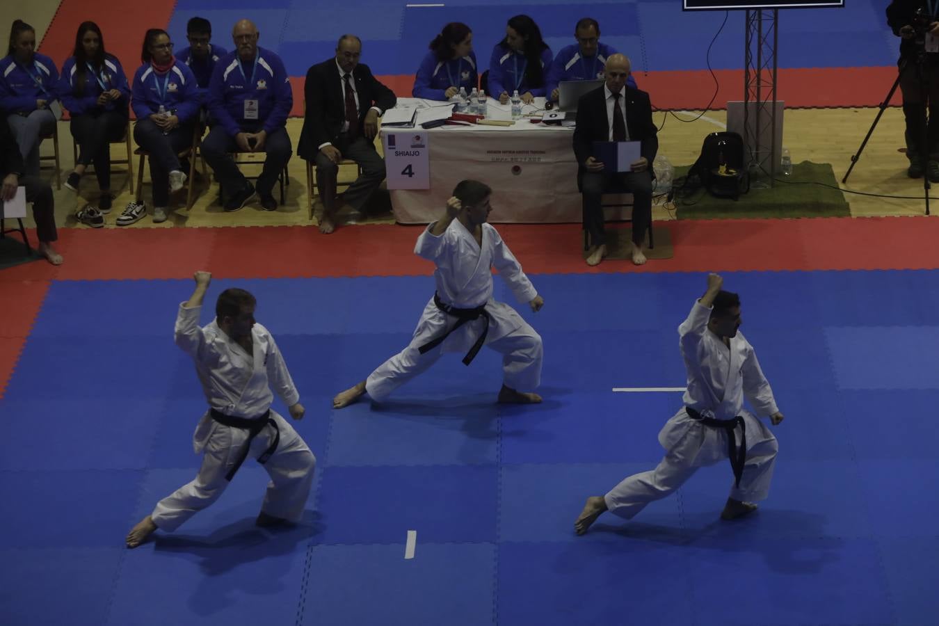 Campeonato de Europa de Karate-do en San Fernando