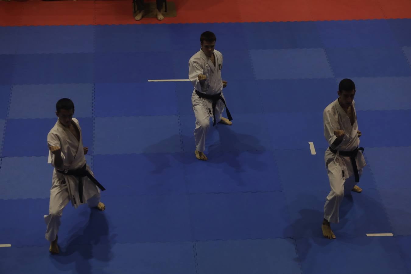 Campeonato de Europa de Karate-do en San Fernando