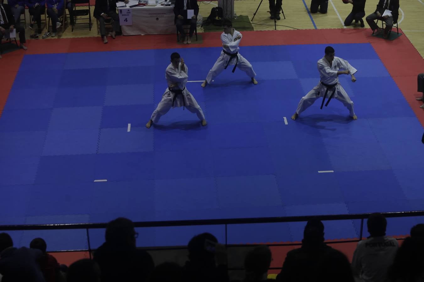 Campeonato de Europa de Karate-do en San Fernando