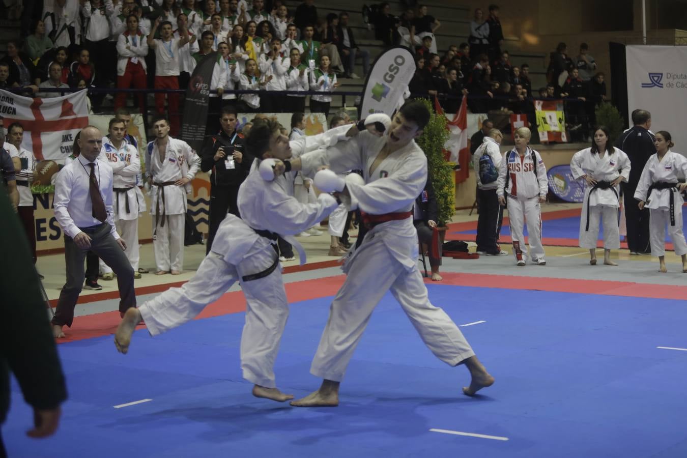 Campeonato de Europa de Karate-do en San Fernando