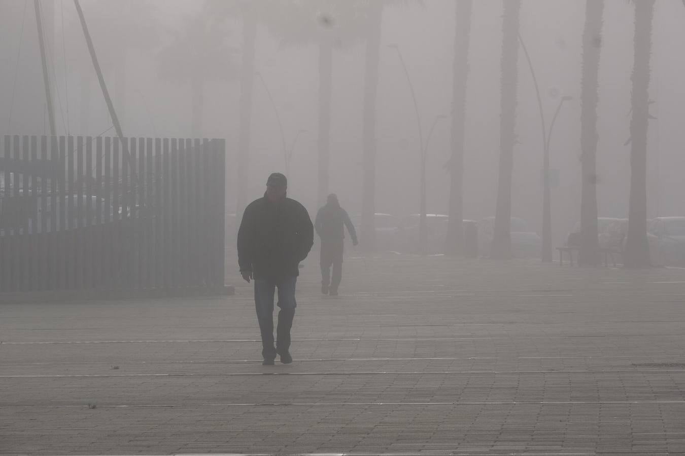 La magia de Cádiz, envuelta en la niebla