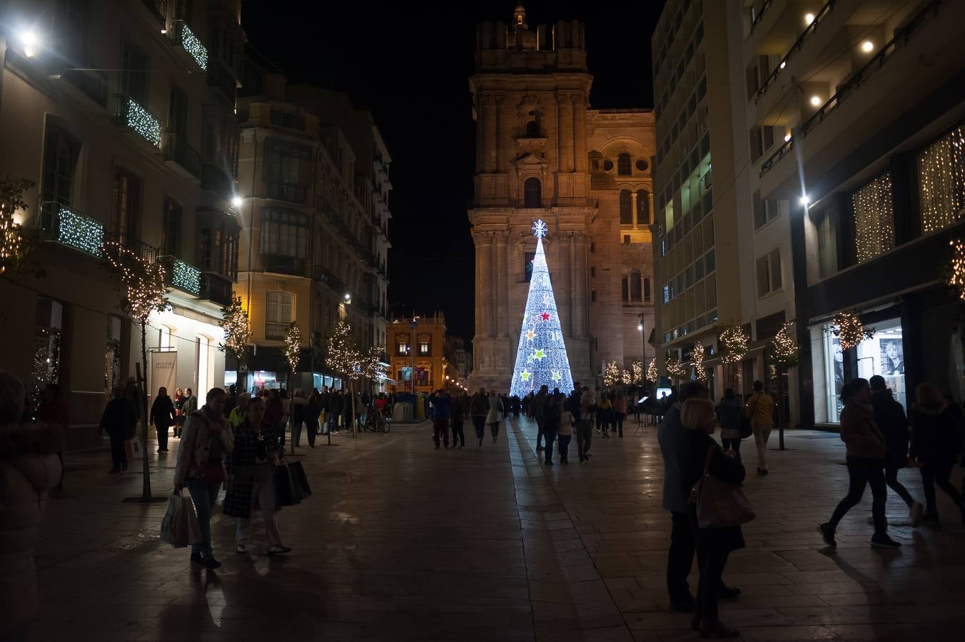 En imágenes: la inauguración del alumbrado de Navidad en Málaga