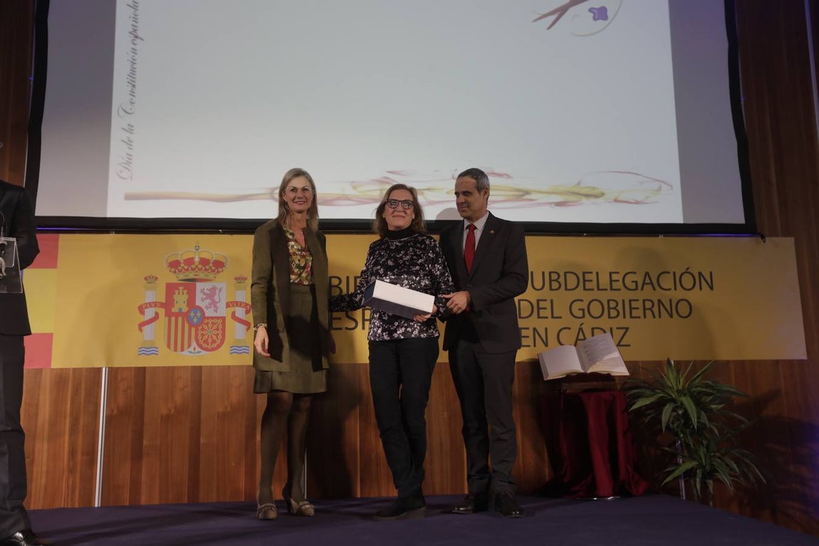 Entrega de distinciones de la Subdelegación por la conmemoración de la Constitución