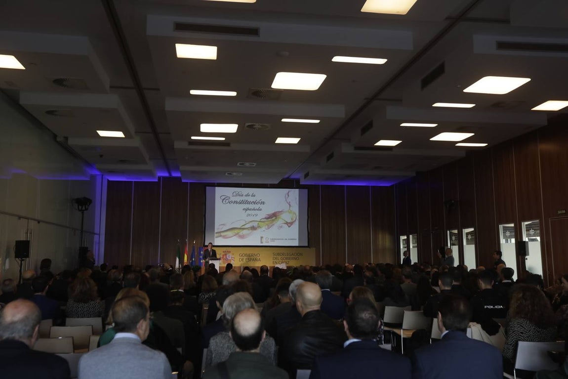 Entrega de distinciones de la Subdelegación por la conmemoración de la Constitución