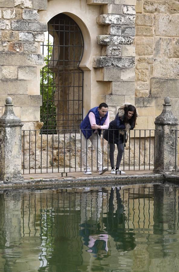 En imágenes, un lunes turístico para despedir el Puente de la Inmaculada en Córdoba