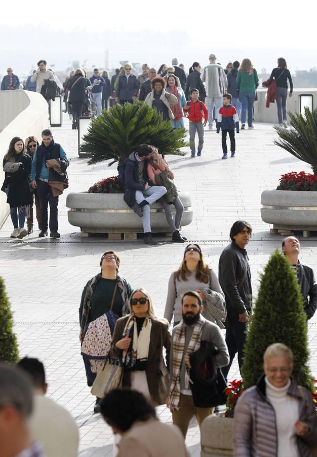 En imágenes, un lunes turístico para despedir el Puente de la Inmaculada en Córdoba