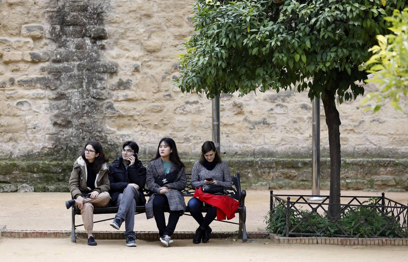 En imágenes, un lunes turístico para despedir el Puente de la Inmaculada en Córdoba