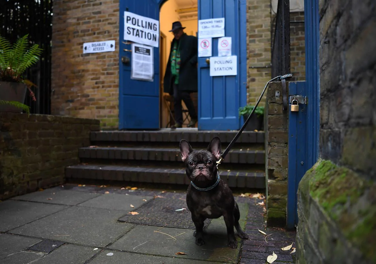 Un bullgod francés espera a su dueño, a la puerta de la Iglesia de San Johns de Londres. 