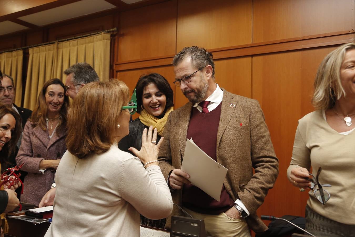 El Pleno del Ayuntamiento de Córdoba, en imágenes