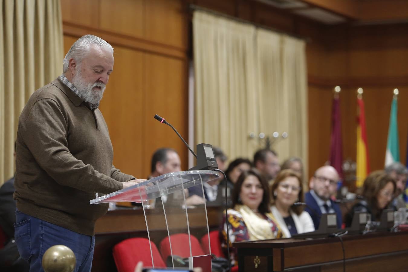 El Pleno del Ayuntamiento de Córdoba, en imágenes