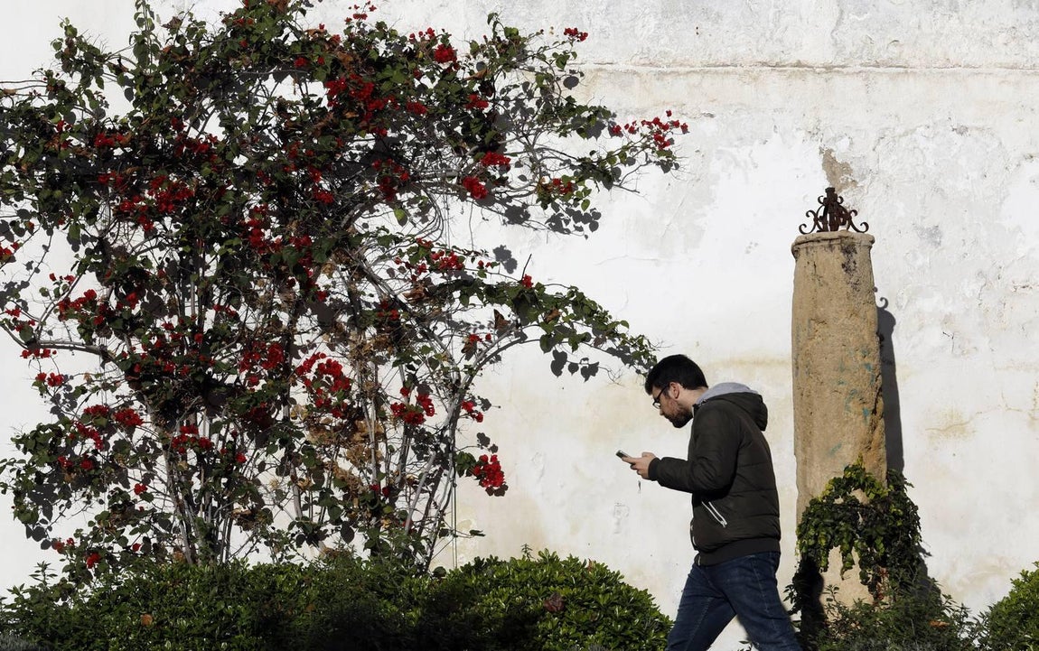 La Cuesta de Pero Mato de Córdoba, en imágenes