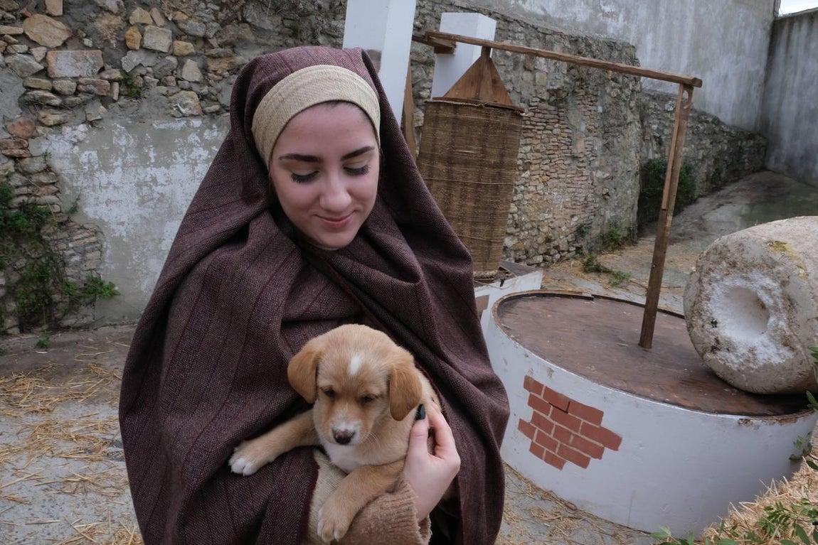 Fotos: Así es el Belén Viviente de Medina Sidonia
