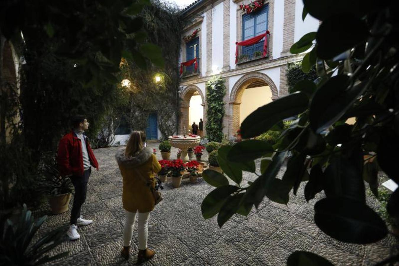 La primera ruta de los Patios de Córdoba en Navidad, en imágenes