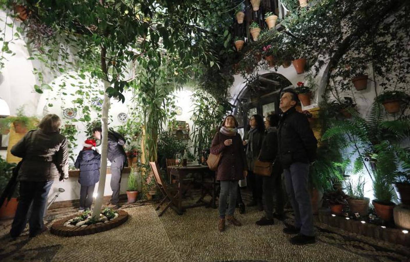 La primera ruta de los Patios de Córdoba en Navidad, en imágenes