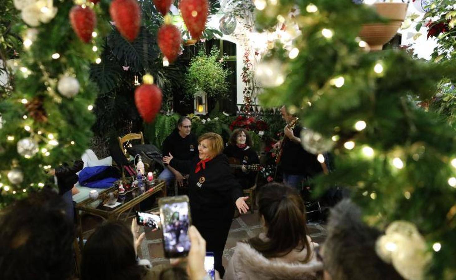 La primera ruta de los Patios de Córdoba en Navidad, en imágenes