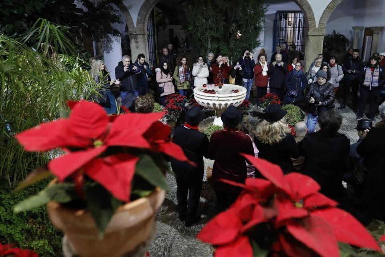 La primera ruta de los Patios de Córdoba en Navidad, en imágenes