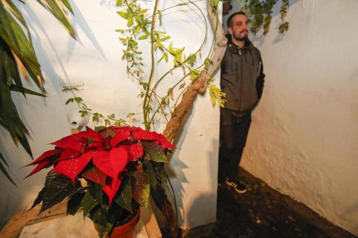 La segunda jornada de los Patios de Córdoba en Navidad, en imágenes