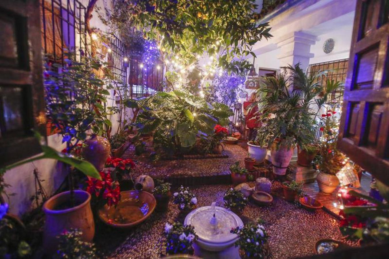 La segunda jornada de los Patios de Córdoba en Navidad, en imágenes