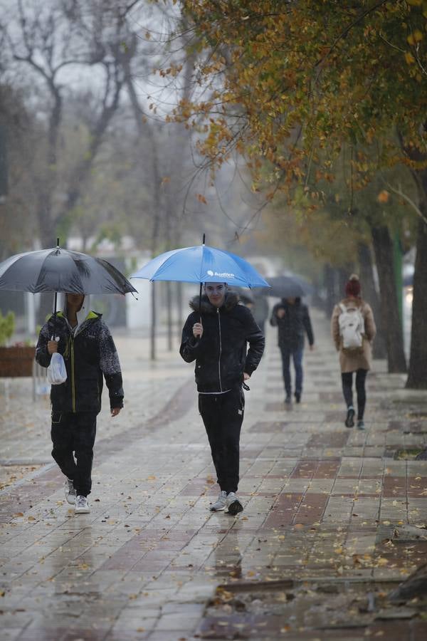 Las imágenes de Sevilla azotada por el temporal