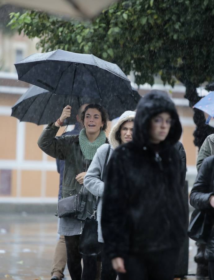 Las imágenes de Sevilla azotada por el temporal