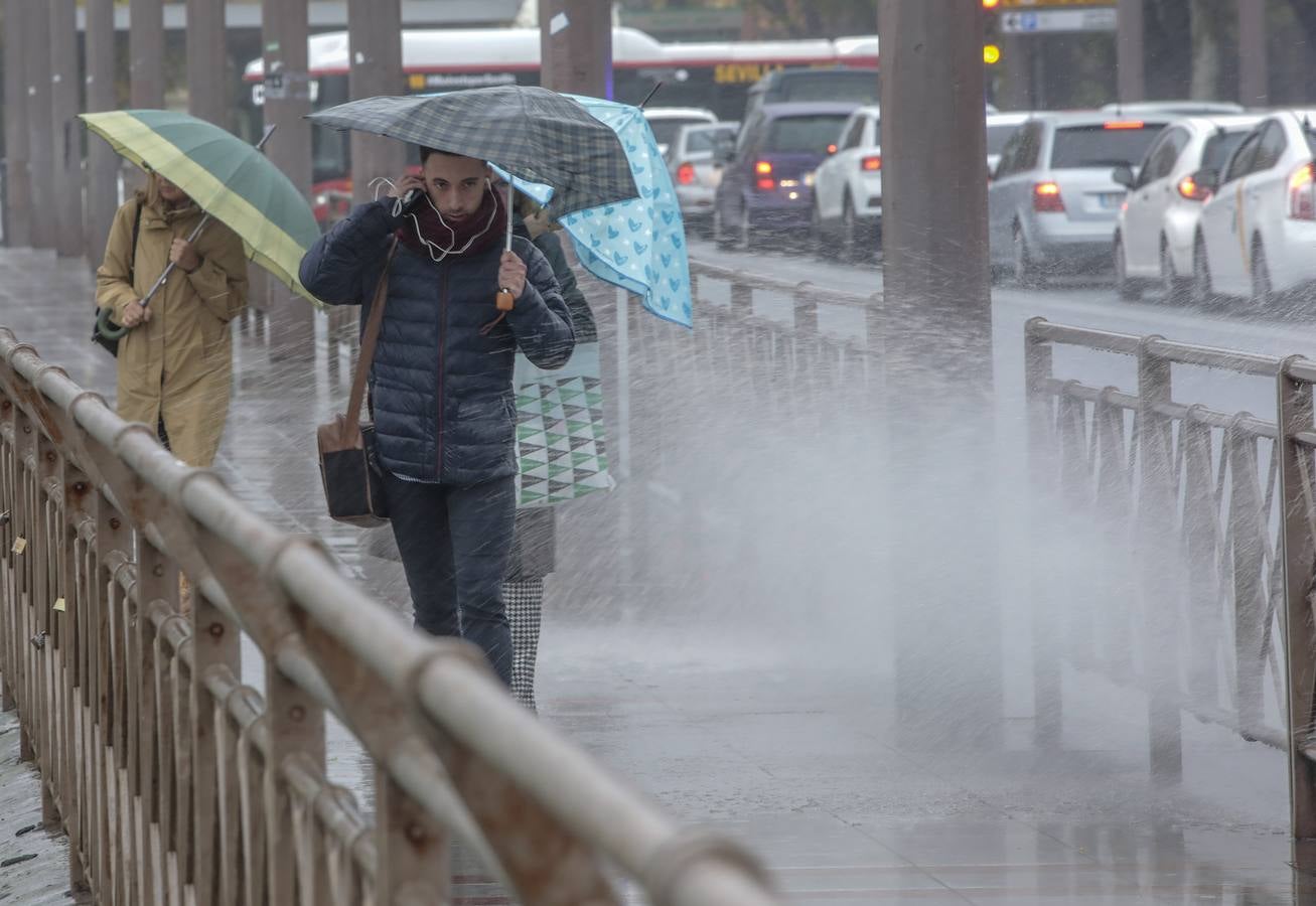 Las imágenes de Sevilla azotada por el temporal