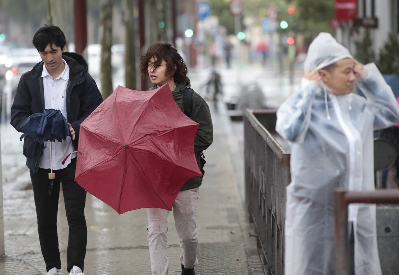 Las imágenes de Sevilla azotada por el temporal