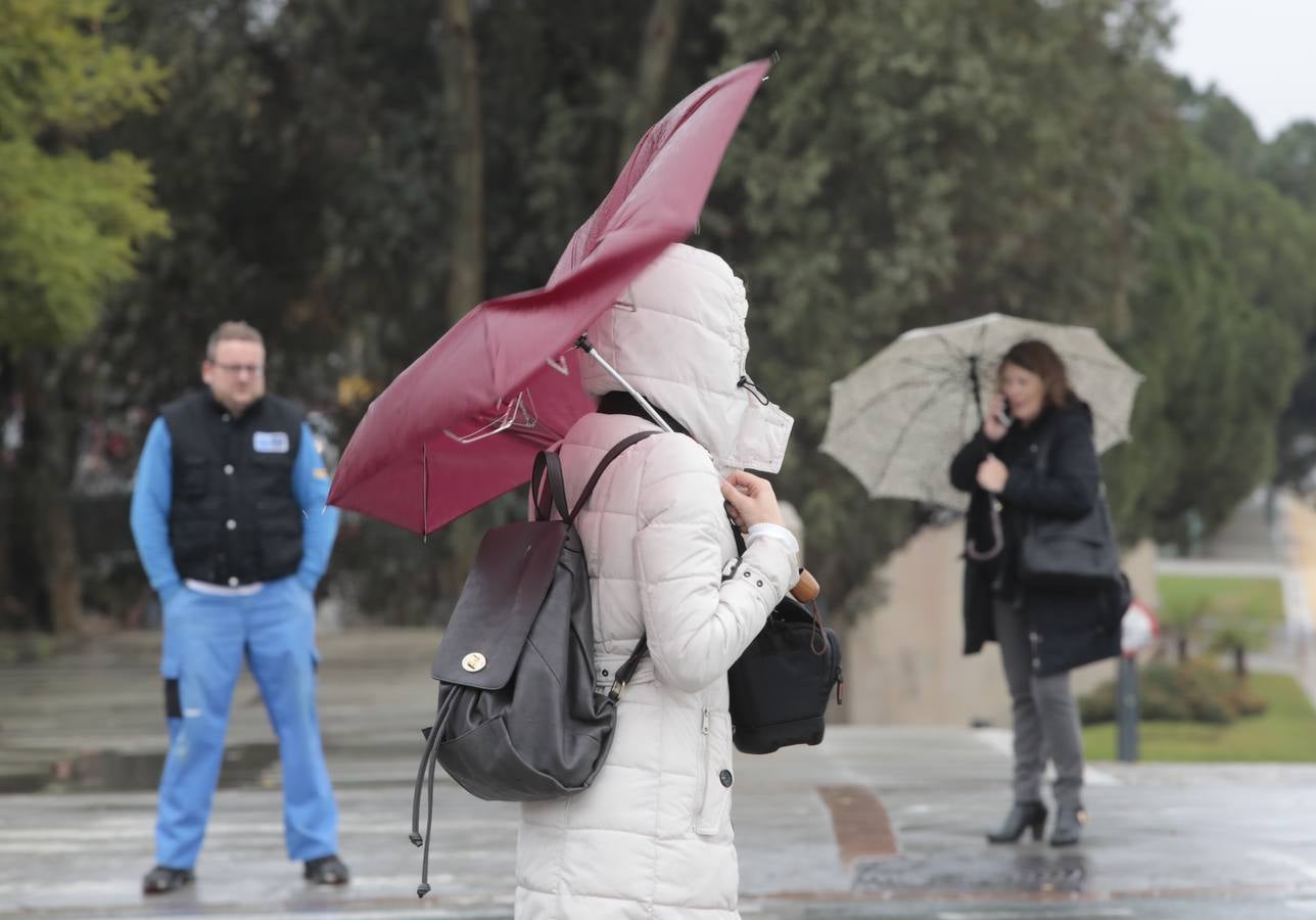 Las imágenes de Sevilla azotada por el temporal