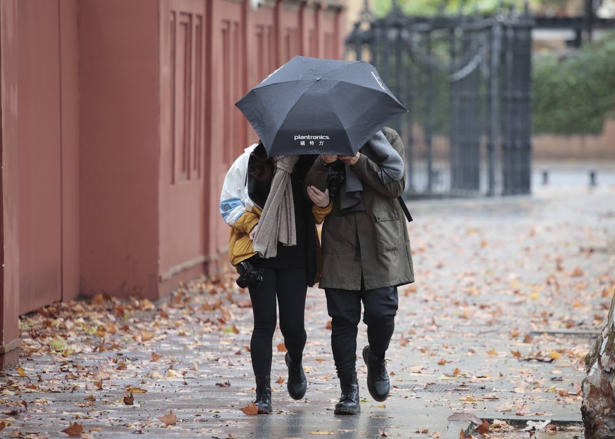 Las imágenes de Sevilla azotada por el temporal