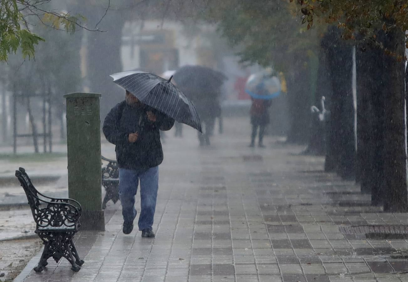 Las imágenes de Sevilla azotada por el temporal