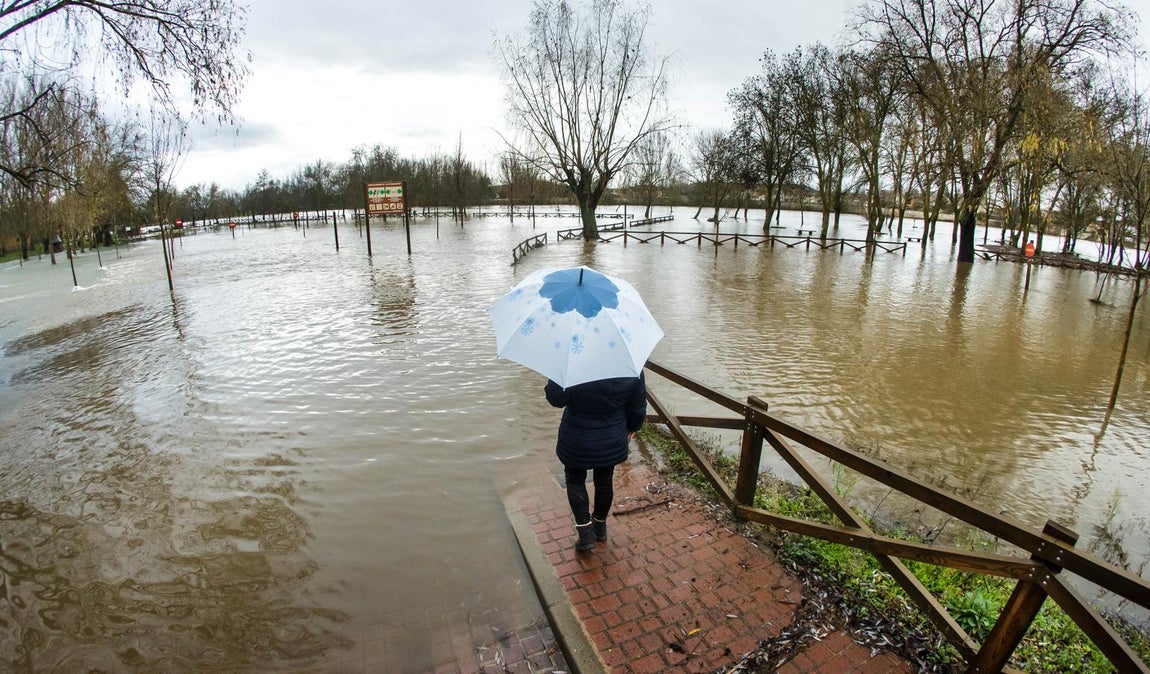 Las impactantes imágenes que ha dejado la borrasca Elsa en Castilla y León