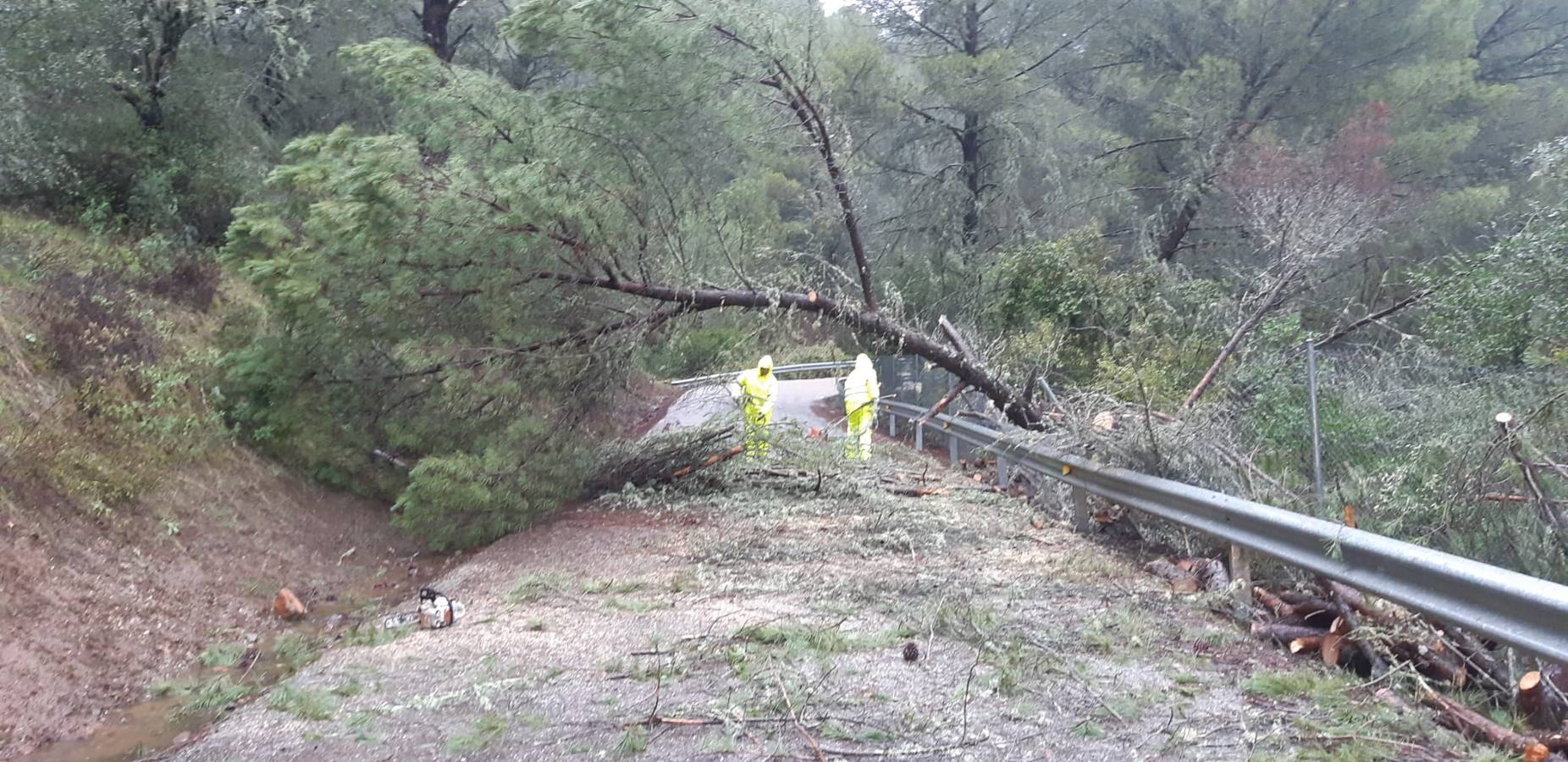 Las incidencias de la borrasca Elsa en Córdoba, en imágenes