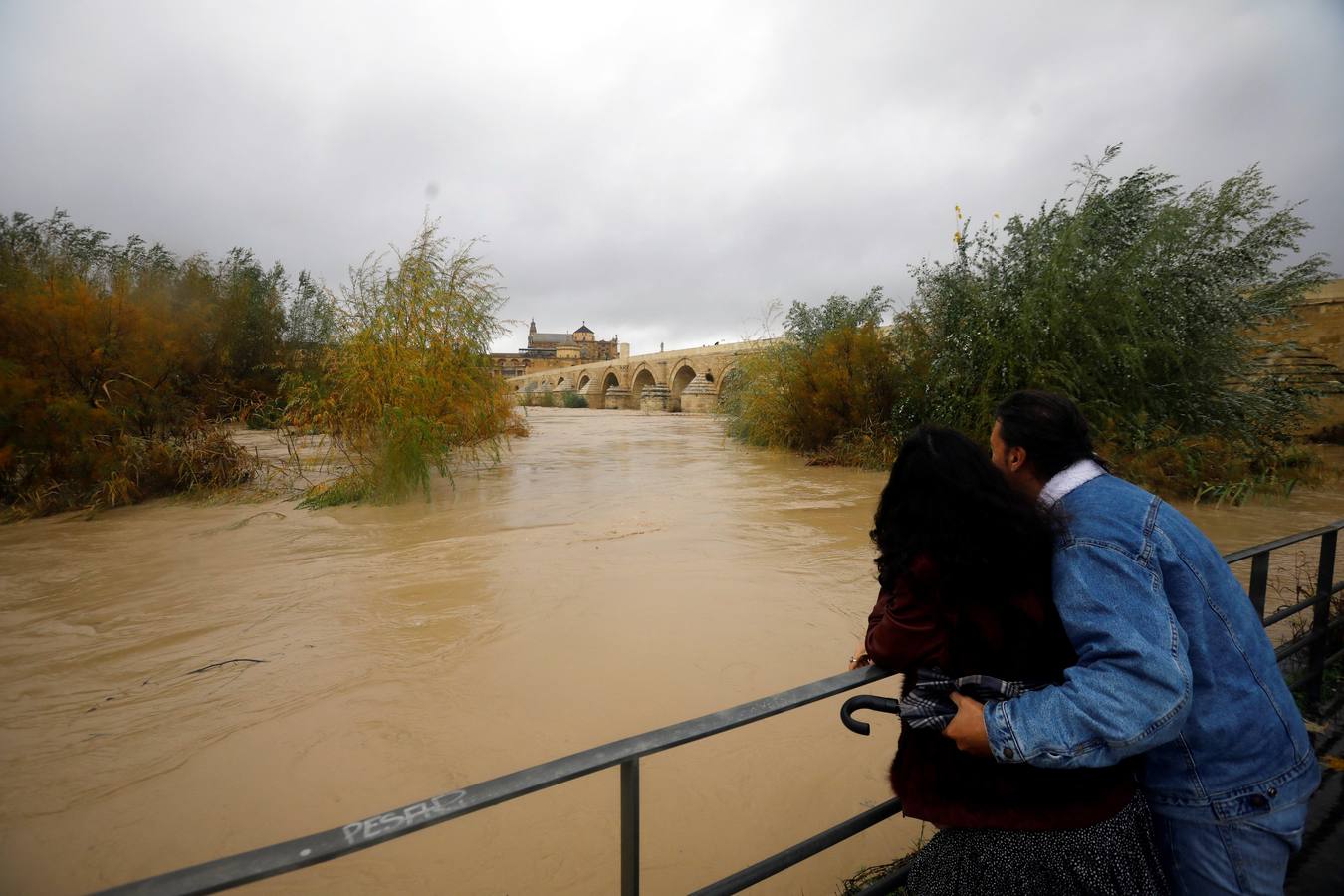 Las incidencias de la borrasca Elsa en Córdoba, en imágenes