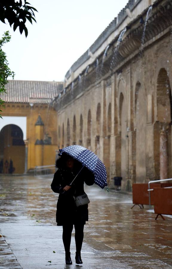 Las incidencias de la borrasca Elsa en Córdoba, en imágenes