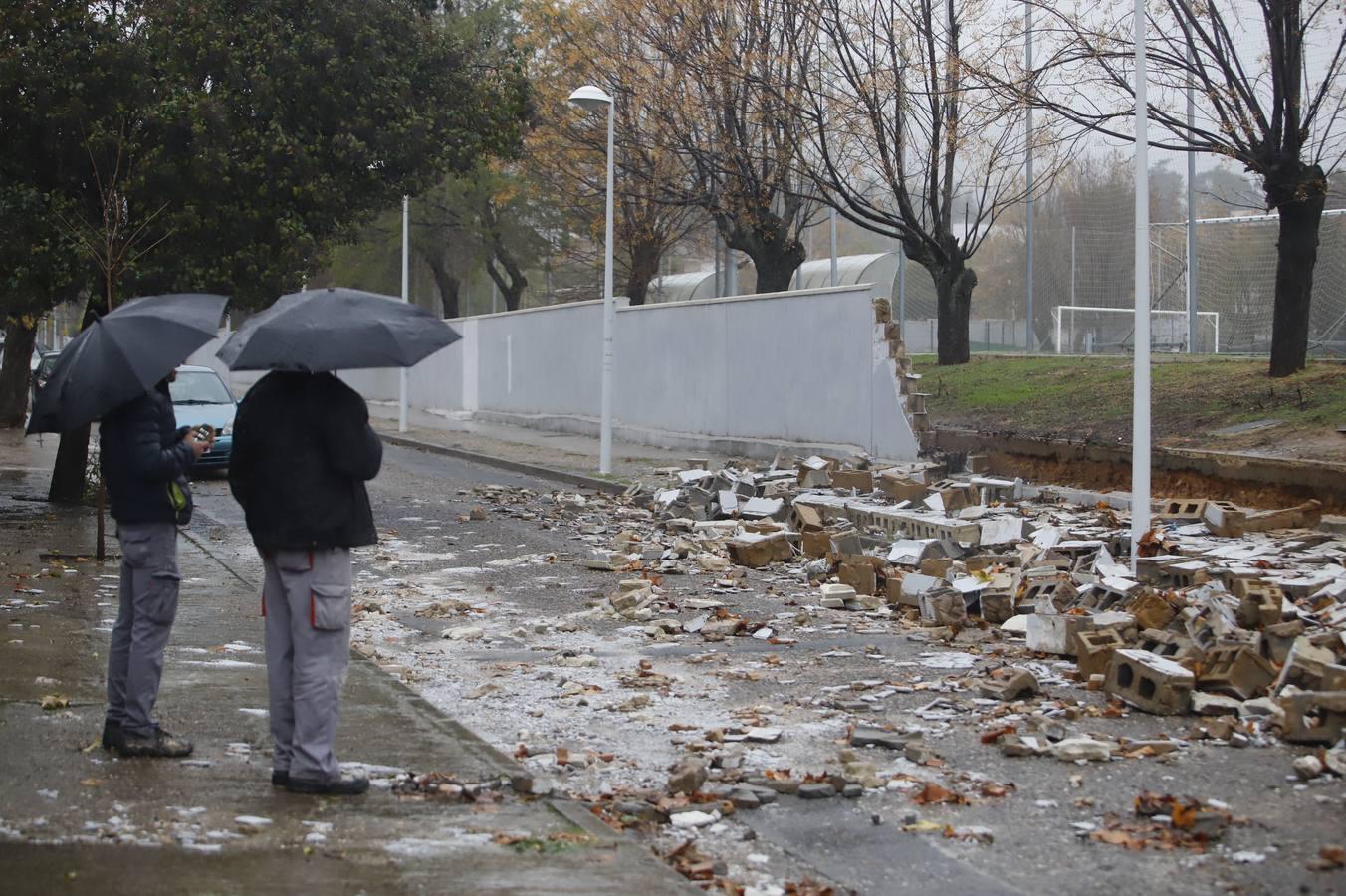 Las incidencias de la borrasca Elsa en Córdoba, en imágenes