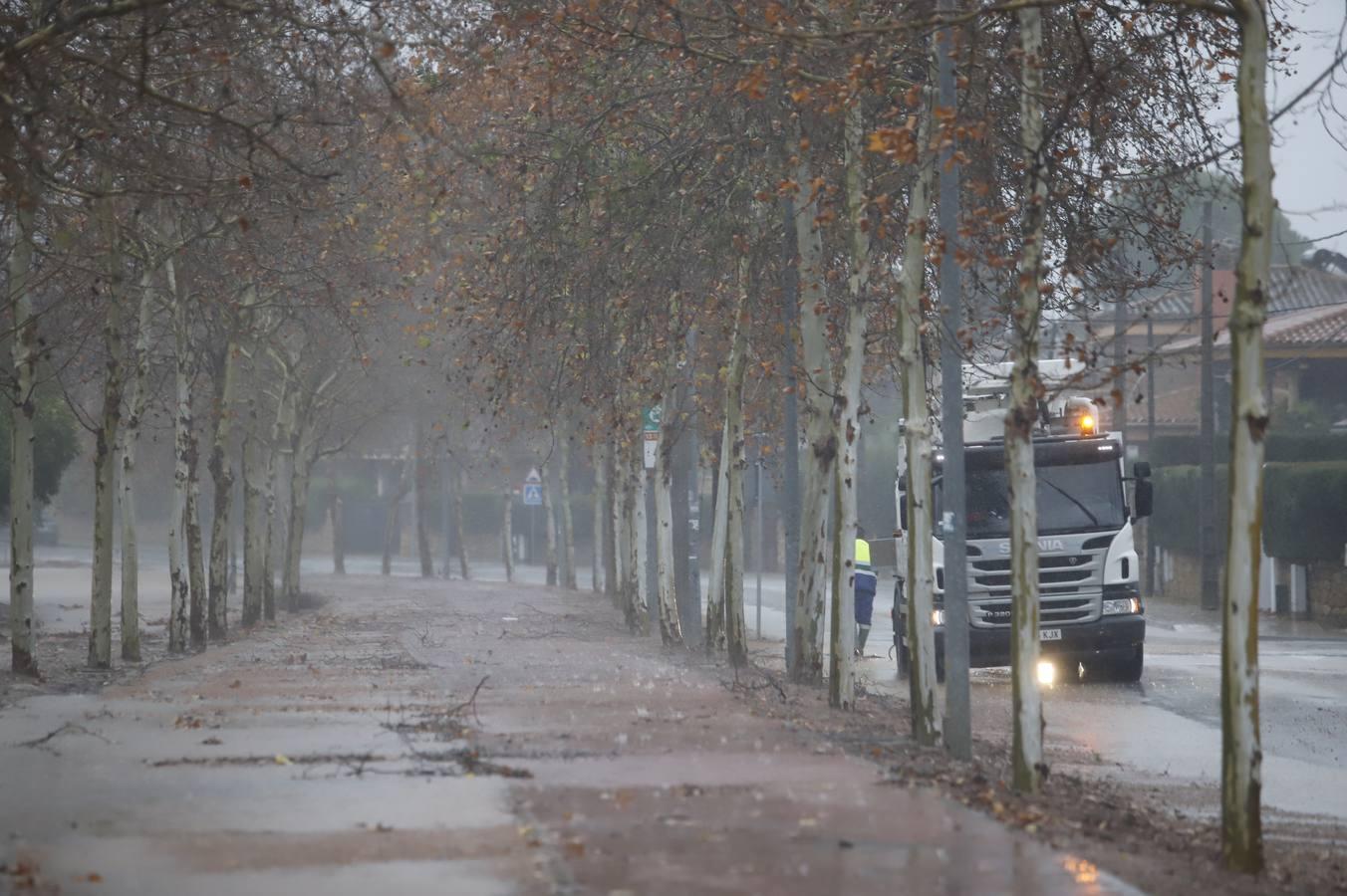 Las incidencias de la borrasca Elsa en Córdoba, en imágenes