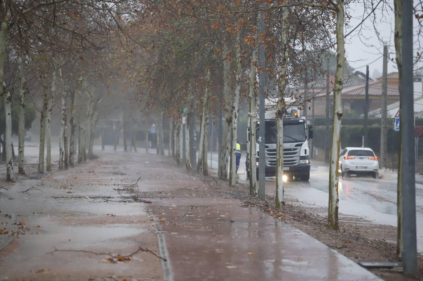 Las incidencias de la borrasca Elsa en Córdoba, en imágenes