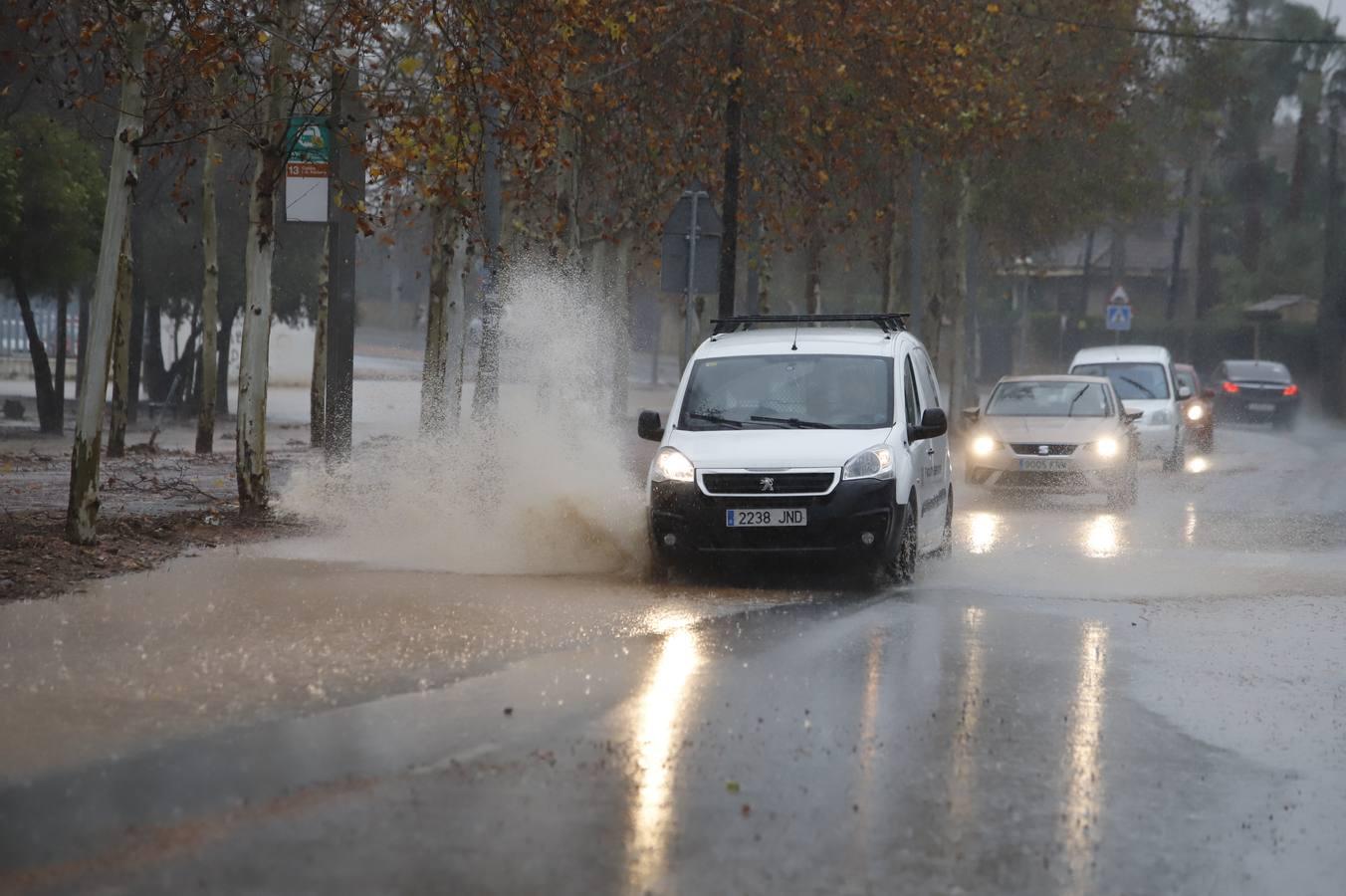 Las incidencias de la borrasca Elsa en Córdoba, en imágenes