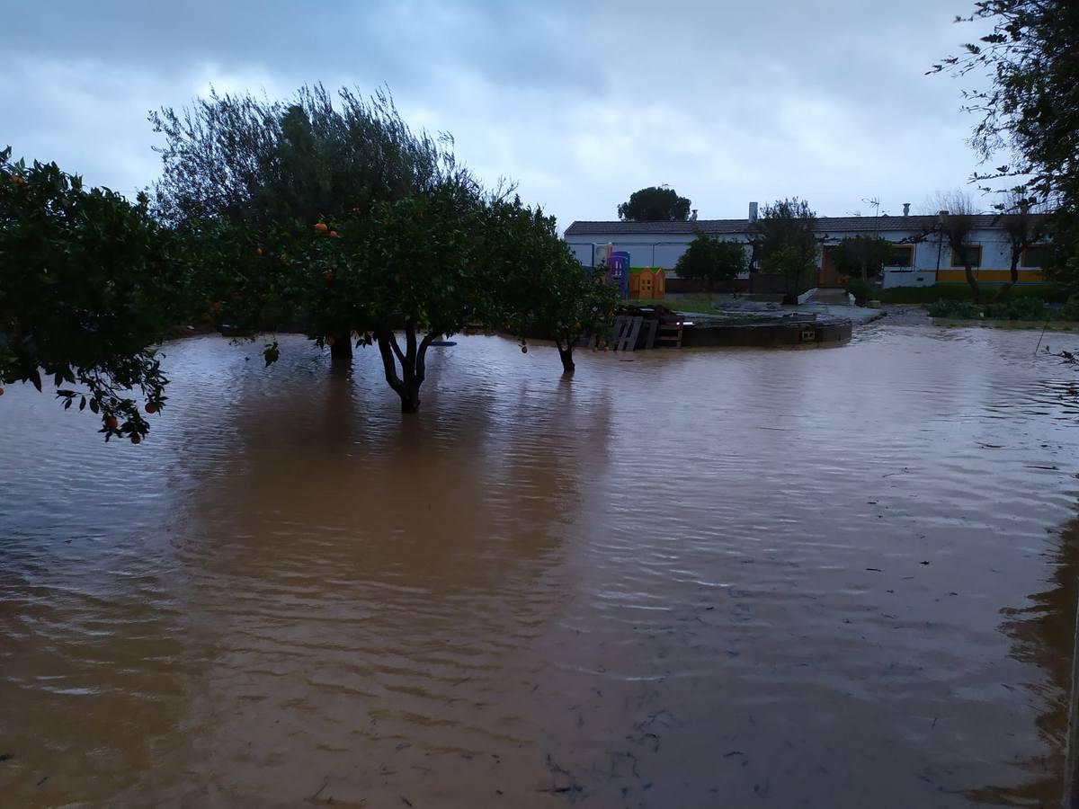 Las incidencias de la borrasca Elsa en Córdoba, en imágenes