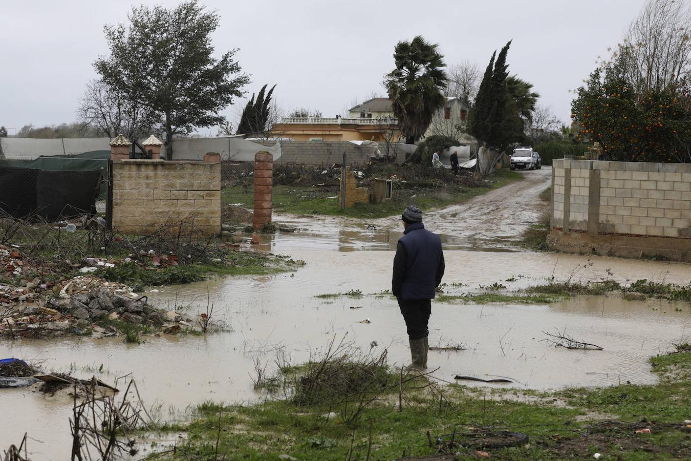 El paso de la borrasca Elsa por las parcelas del río en Córdoba, en imágenes