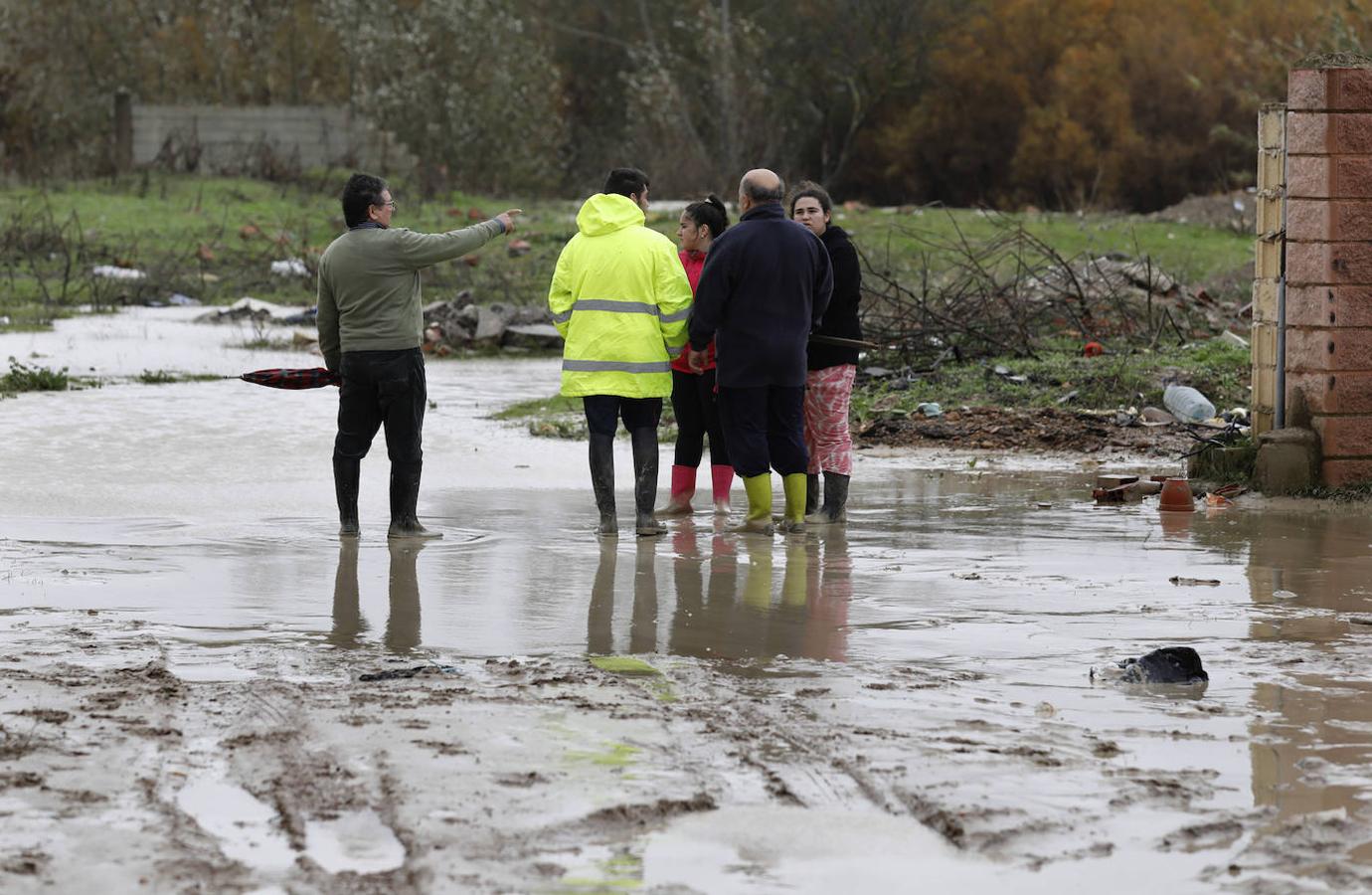 El paso de la borrasca Elsa por las parcelas del río en Córdoba, en imágenes