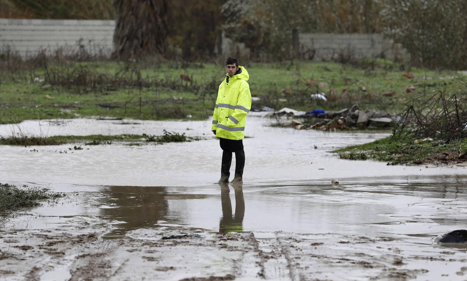 El paso de la borrasca Elsa por las parcelas del río en Córdoba, en imágenes