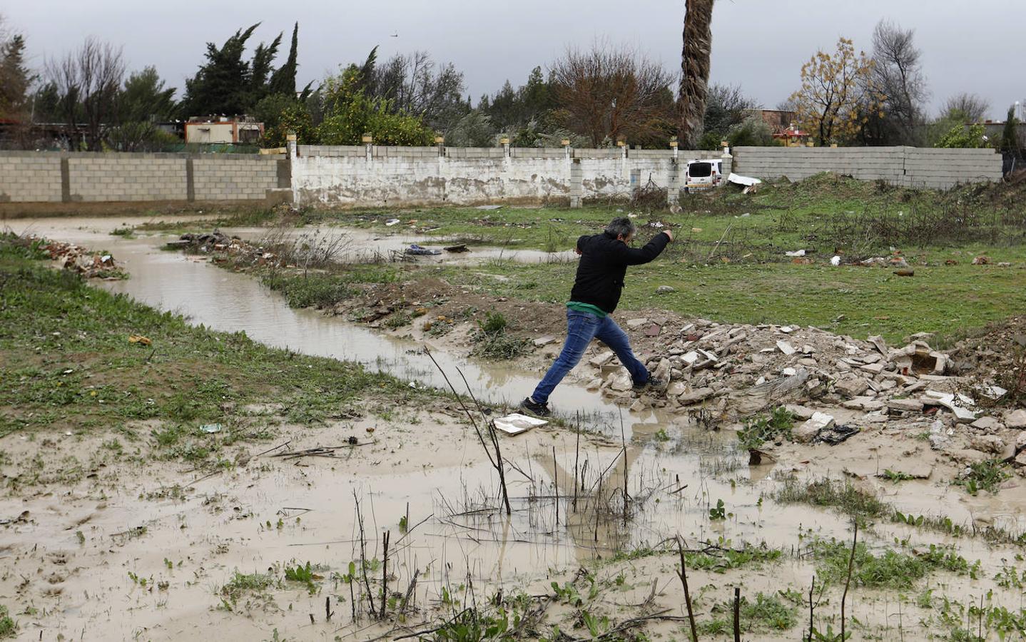 El paso de la borrasca Elsa por las parcelas del río en Córdoba, en imágenes