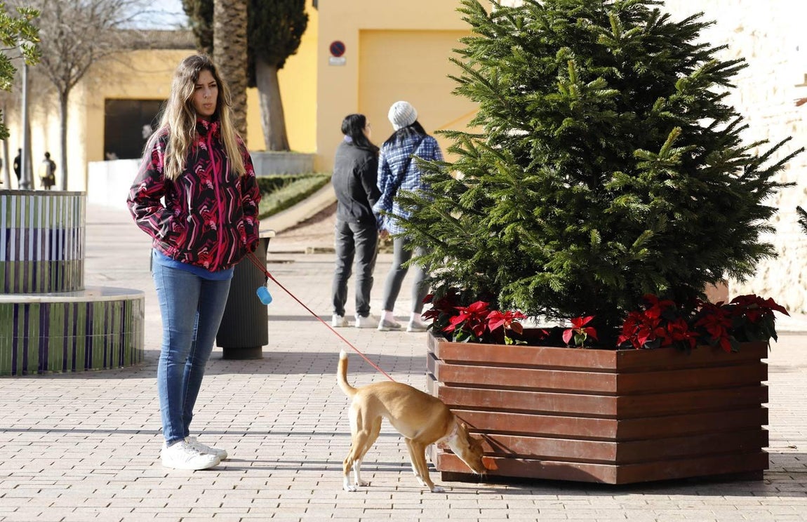 En imágenes, un soleado día de Navidad en Córdoba