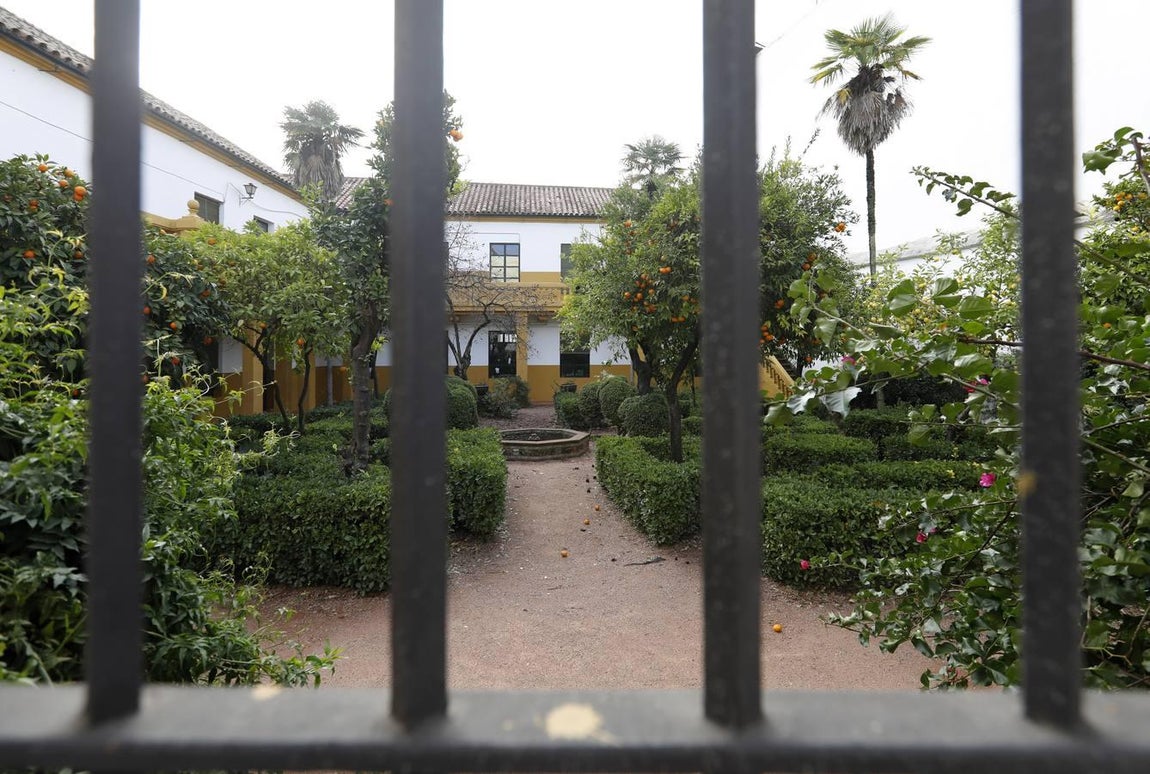 La calle Muñices de Córdoba, en imágenes