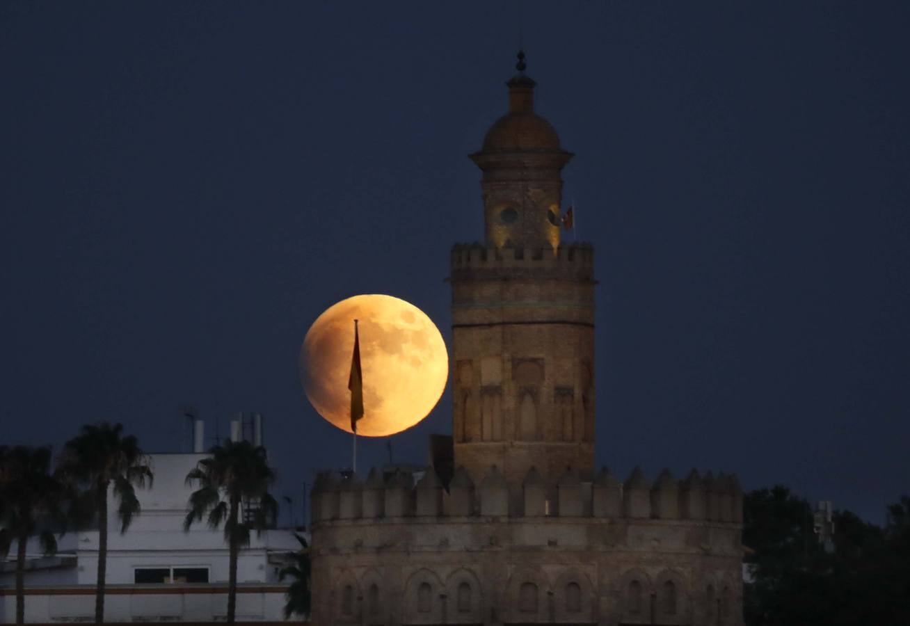 Vista de la Torre del Oro durante el eclipse lunar