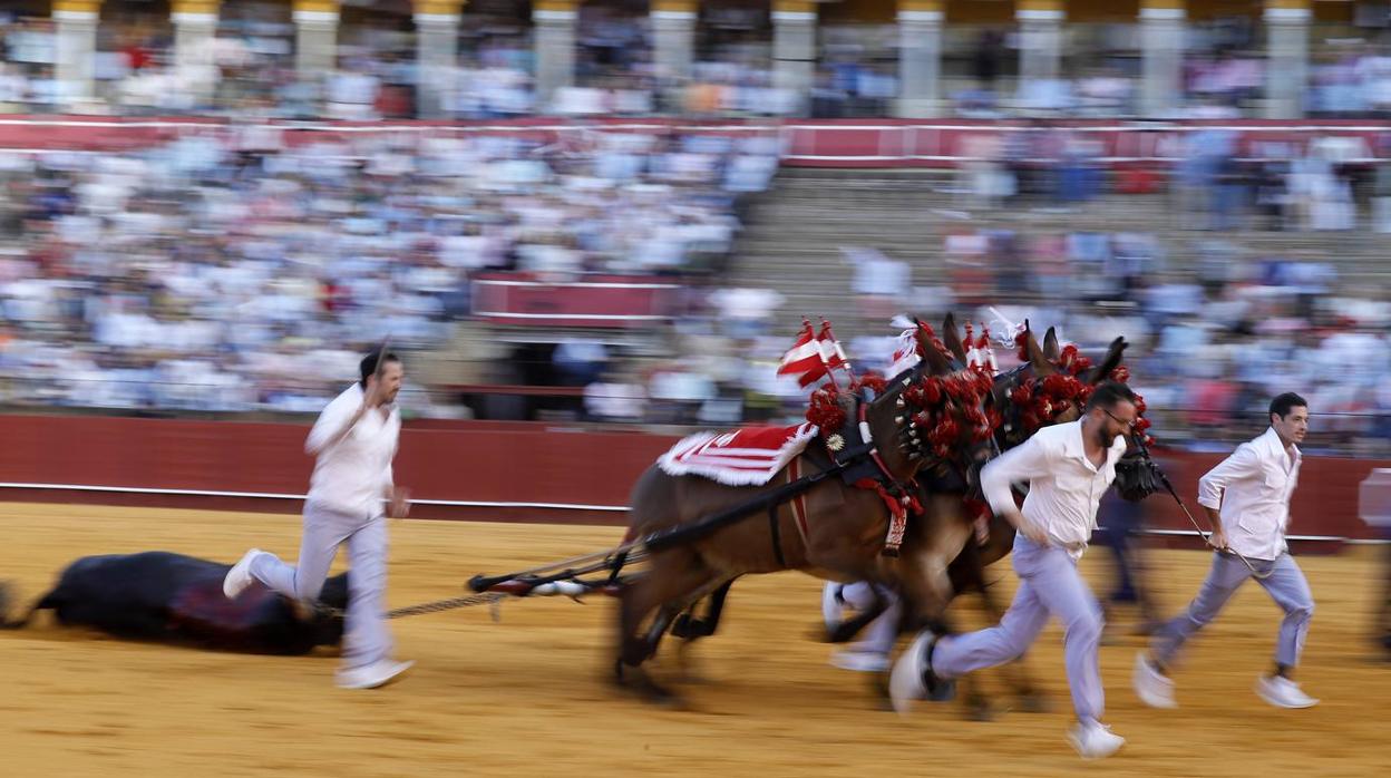 Fotogalería: Las mejores fotografías de J.M. Serrano en 2019